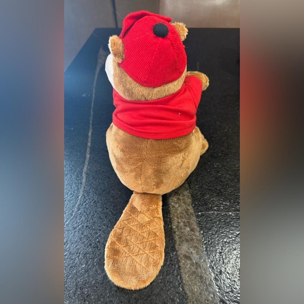 Buc-ee’s Plush Beaver Mascot – 10” – Jaag - Picture 6 of 7